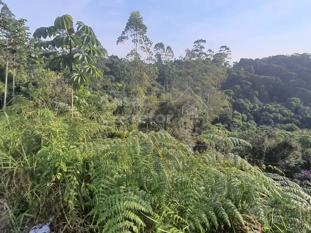 Imagem 15: Terreno Amplo de 399,20M²