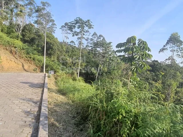 Imagem 4: Terreno Amplo de 399,20M²