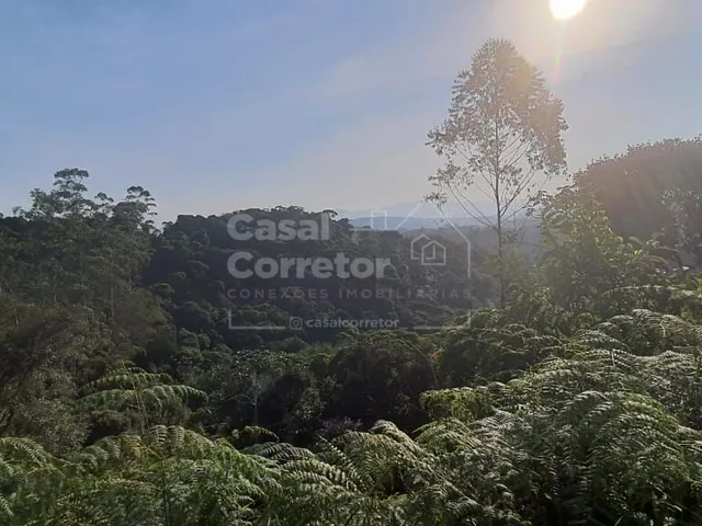 Imagem 7: Terreno Amplo de 399,20M²