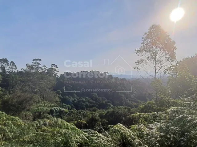 Imagem 6: Terreno Amplo de 399,20M²