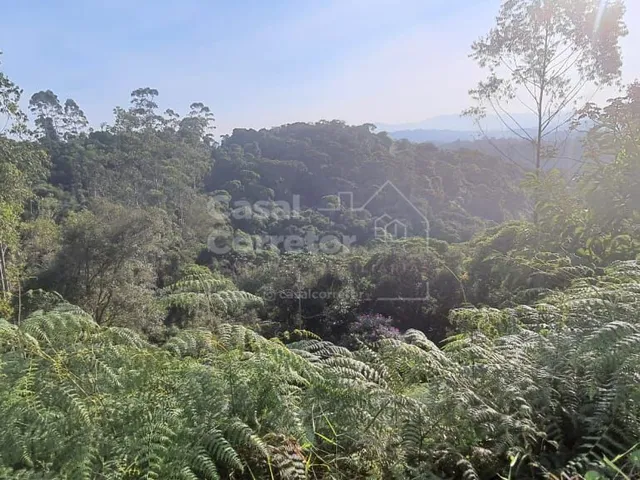 Imagem 2: Terreno Amplo de 399,20M²