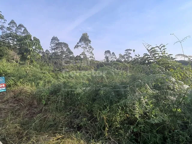 Imagem 11: Terreno Amplo de 399,20M²