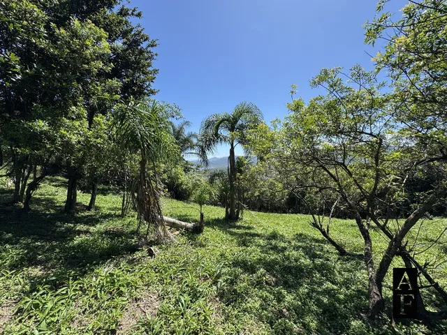 Imagem 8: Terreno À Venda em Praia do Silveira Garopaba Sc