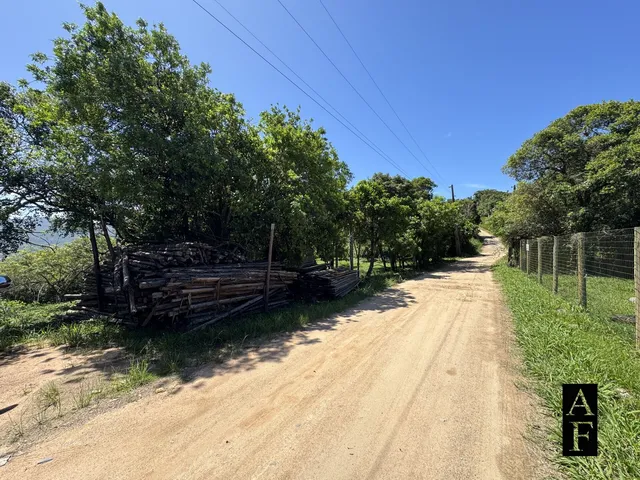 Imagem 4: Terreno À Venda em Praia do Silveira Garopaba Sc