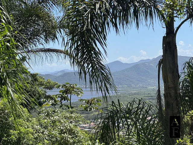 Imagem 10: Terreno À Venda em Praia do Silveira Garopaba Sc