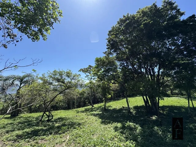 Imagem 12: Terreno À Venda em Praia do Silveira Garopaba Sc