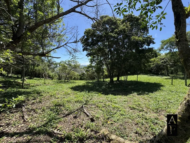 Imagem 9: Terreno À Venda em Praia do Silveira Garopaba Sc