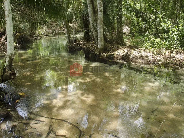 Imagem 4: Chácara À Venda no Bairro Centro - Governador Edison Lobão/Ma