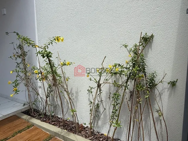 Imagem 9: Casa Padrão no Jardim das Oliveiras