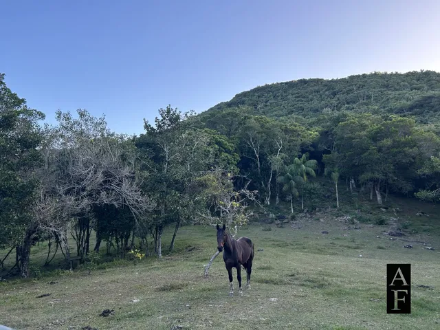 Imagem 2: Descubra Esta Oportunidade de Investimento em Garopaba Sc