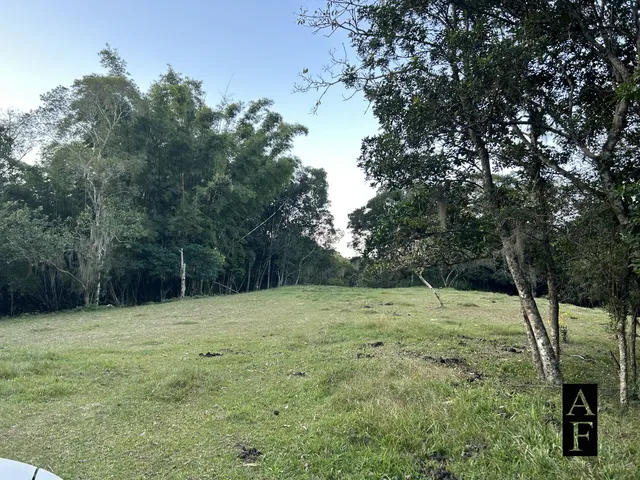 Imagem 11: Descubra Esta Oportunidade de Investimento em Garopaba Sc