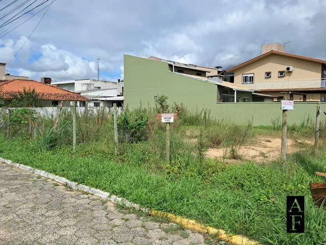 Imagem 9: Terren no Bairro Pinguirito, Garopaba/Sc