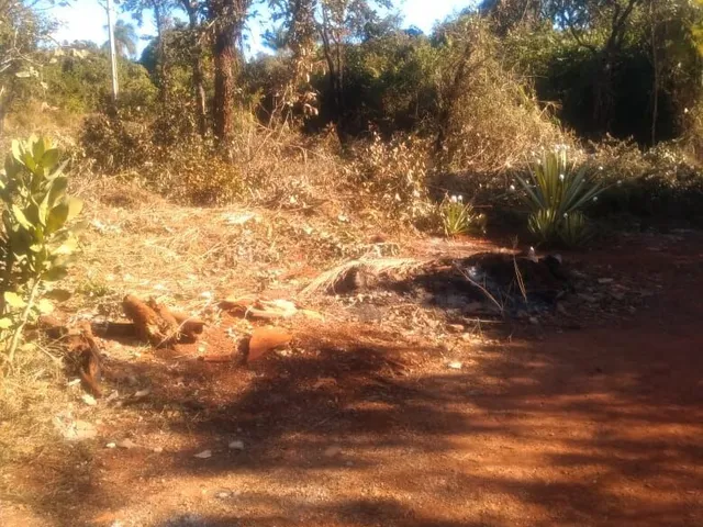 Imagem 5: Lote de 1000 M² no Condomínio Andrequice em santa Luzia
