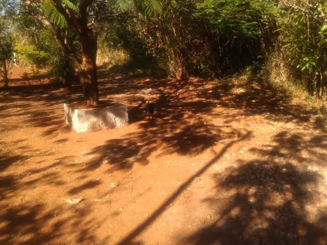 Imagem 9: Lote de 1000 M² no Condomínio Andrequice em santa Luzia