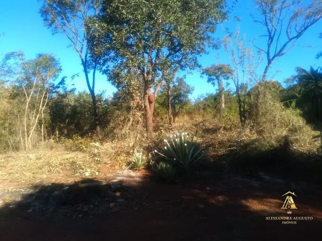 Imagem 7: Lote de 1000 M² no Condomínio Andrequice em santa Luzia