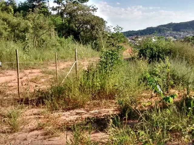 Imagem 2: Excelente Oportunidade de Investimento no Bairro Nova Esperança!