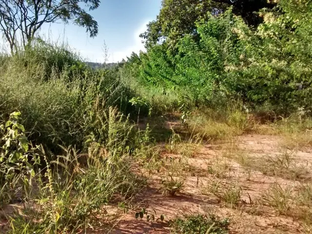 Imagem 5: Excelente Oportunidade de Investimento no Bairro Nova Esperança!