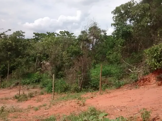 Imagem 3: Excelente Oportunidade de Investimento no Bairro Nova Esperança!