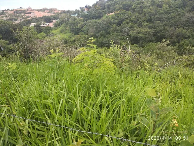 Imagem 2: Terreno Lote Bairro Imperail