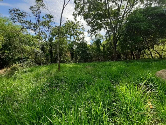 Imagem 10: Oportunidade Única: Terreno de 21.000M² no Jardim Encantado - Vespasiano!