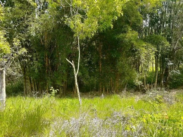 Imagem 15: Oportunidade Única: Terreno de 21.000M² no Jardim Encantado - Vespasiano!