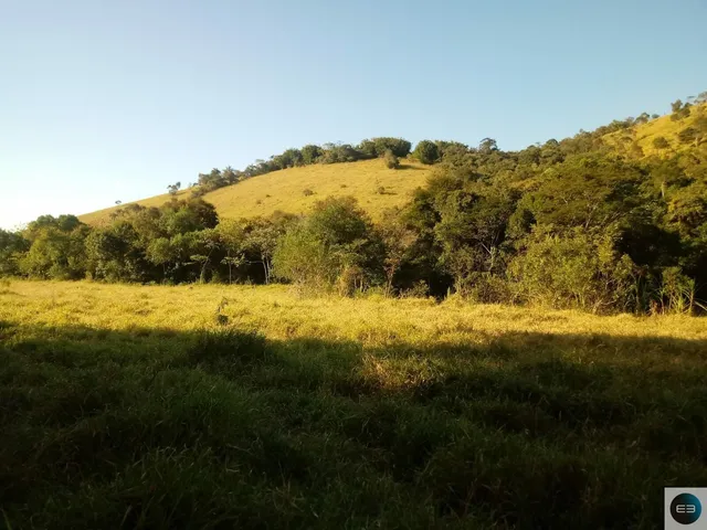 Imagem 11: Fazenda em Taubaté 201 Alqueires