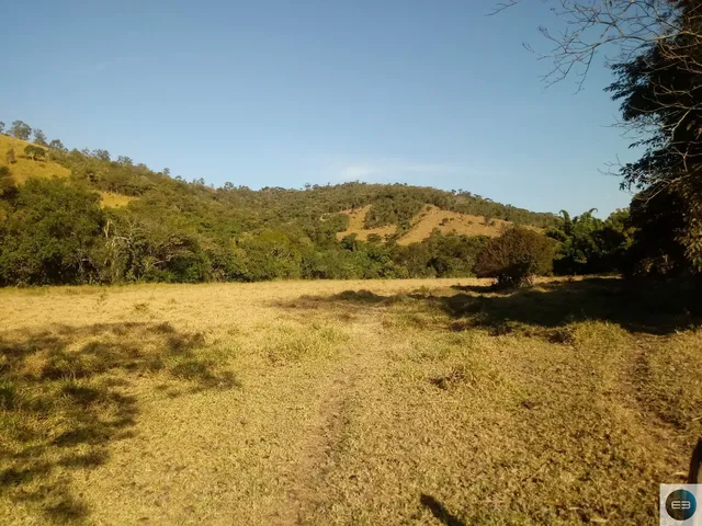 Imagem 9: Fazenda em Taubaté 201 Alqueires