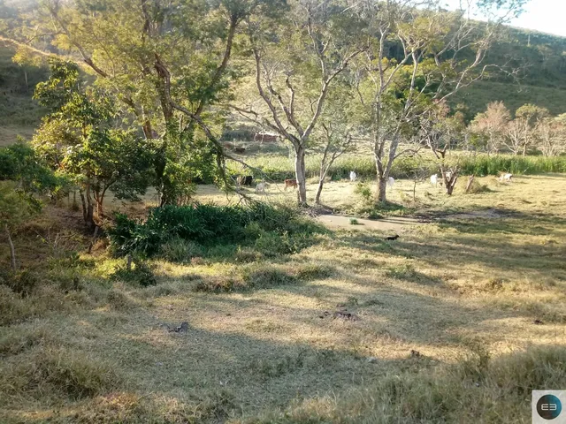 Imagem 15: Fazenda em Taubaté 201 Alqueires