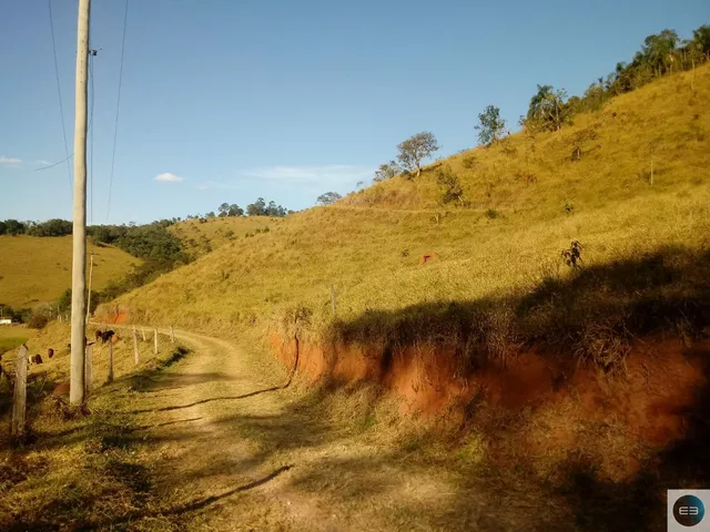 Imagem 16: Fazenda em Taubaté 201 Alqueires