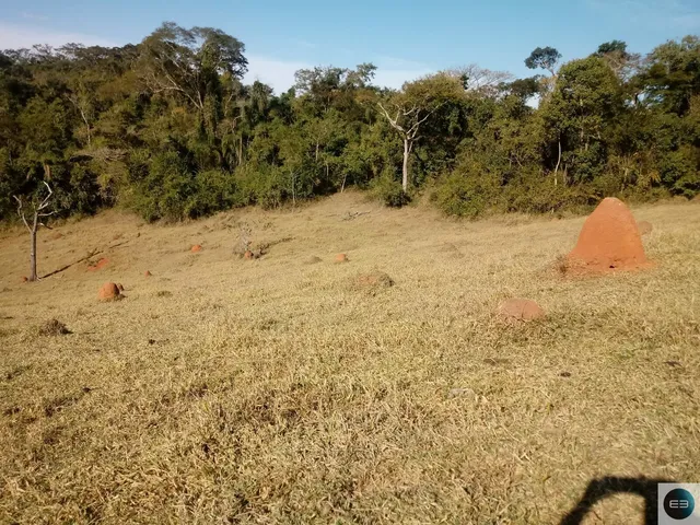 Imagem 8: Fazenda em Taubaté 201 Alqueires