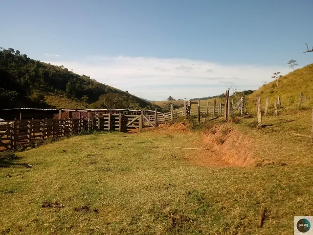 Imagem 7: Fazenda em Taubaté 201 Alqueires