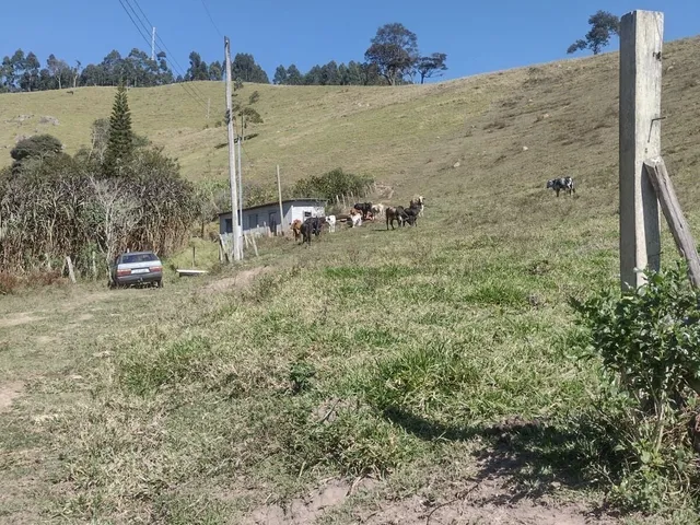 Imagem: Sítio Escriturado em Salesópolis