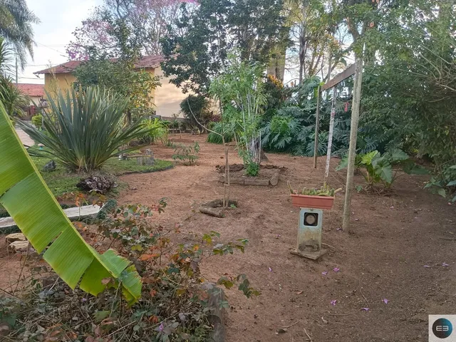 Imagem 4: Chácara em Jambeiro Pertinho da Tamoios