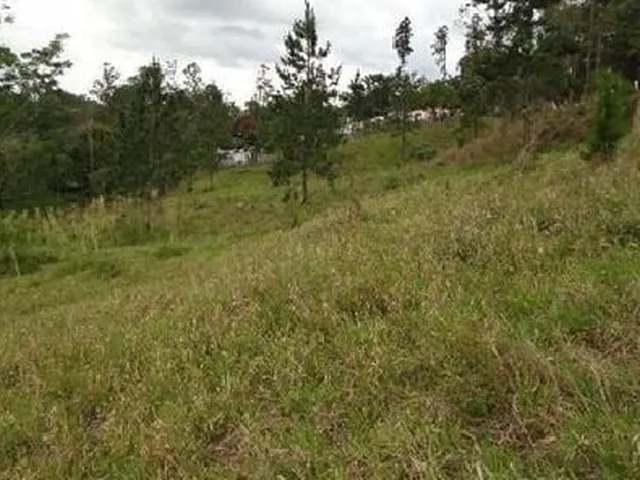 Imagem: Terreno À 50 Metros da Dutra