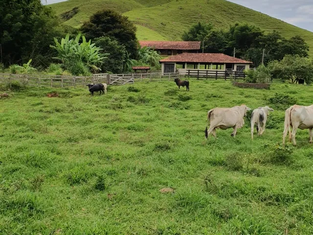 Imagem: Fazenda em Cunha 65 Alqueires