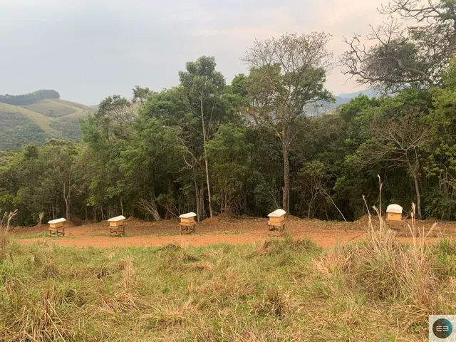 Imagem: Fazenda em Silveiras