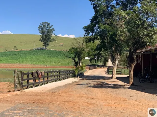 Imagem: Fazenda 310 Alqueires em Canas