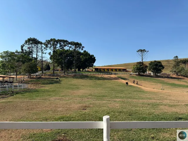 Imagem: Haras Lindão em Lagoinha
