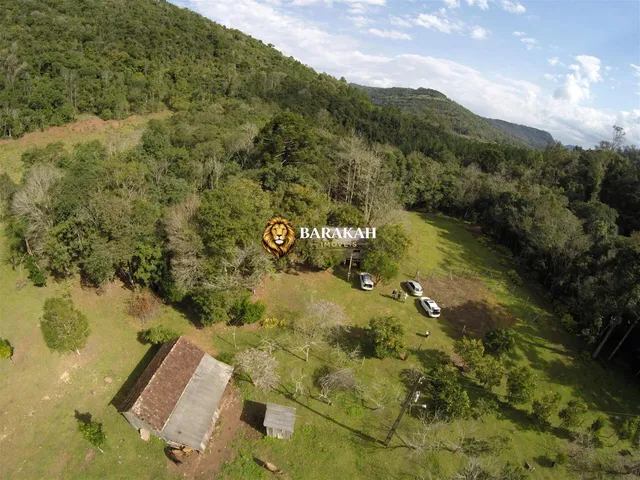 Imagem 3: Sítio À Venda no Bairro Linha Forqueta - Gramado/Rs