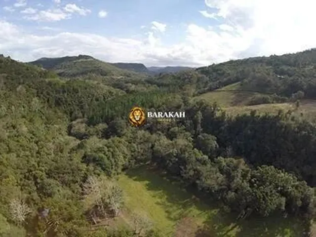 Imagem 7: Sítio À Venda no Bairro Linha Forqueta - Gramado/Rs