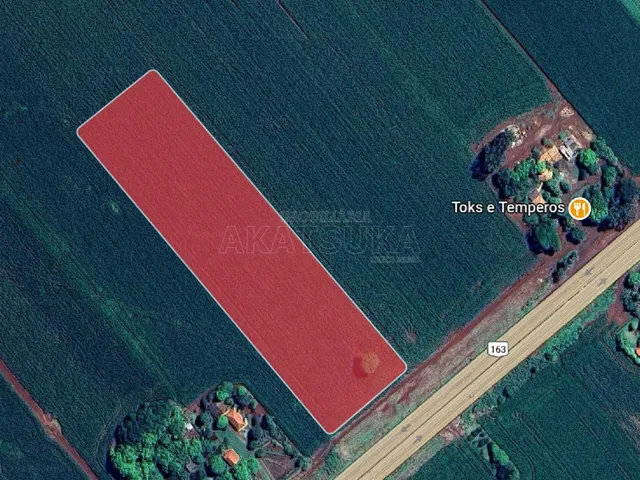 Imagem 2: Área Rural Terreno / lote com venda por R$1.500.000