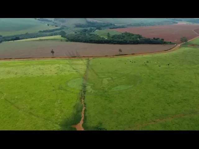 Imagem 7: Fazenda À Venda no Bairro Centro - Machado/Mg