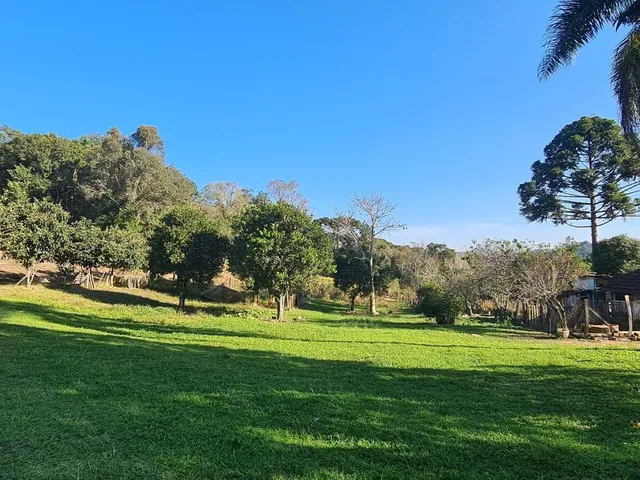 Imagem 16: Chácara com 192.000M² , Vargedo, Campo Largo/Pr