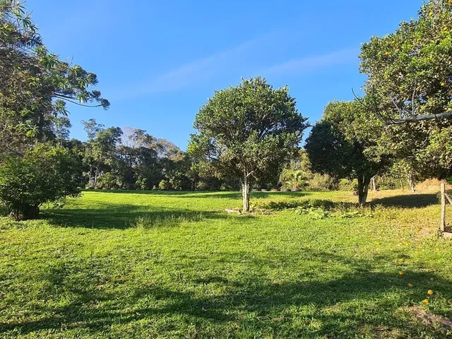 Imagem 14: Chácara com 192.000M² , Vargedo, Campo Largo/Pr