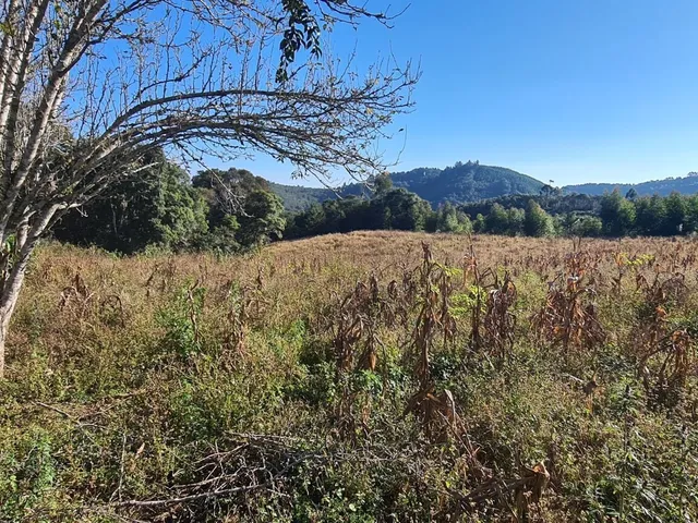 Imagem 2: Chácara com 192.000M² , Vargedo, Campo Largo/Pr