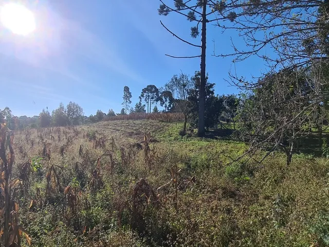 Imagem 4: Chácara com 192.000M² , Vargedo, Campo Largo/Pr