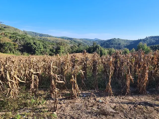 Imagem 7: Chácara com 192.000M² , Vargedo, Campo Largo/Pr