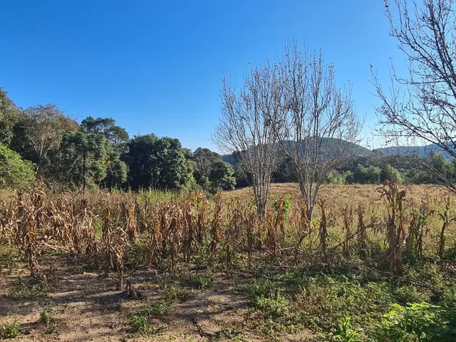 Imagem 5: Chácara com 192.000M² , Vargedo, Campo Largo/Pr