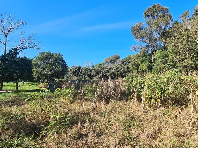 Imagem 11: Chácara com 192.000M² , Vargedo, Campo Largo/Pr