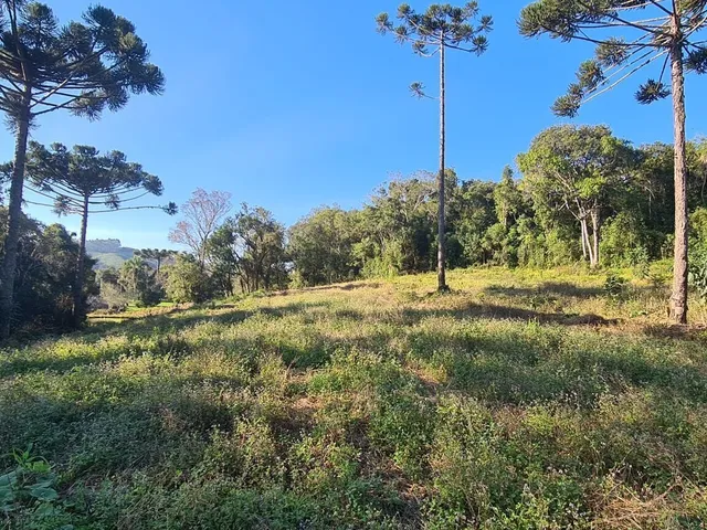 Imagem 6: Chácara com 192.000M² , Vargedo, Campo Largo/Pr